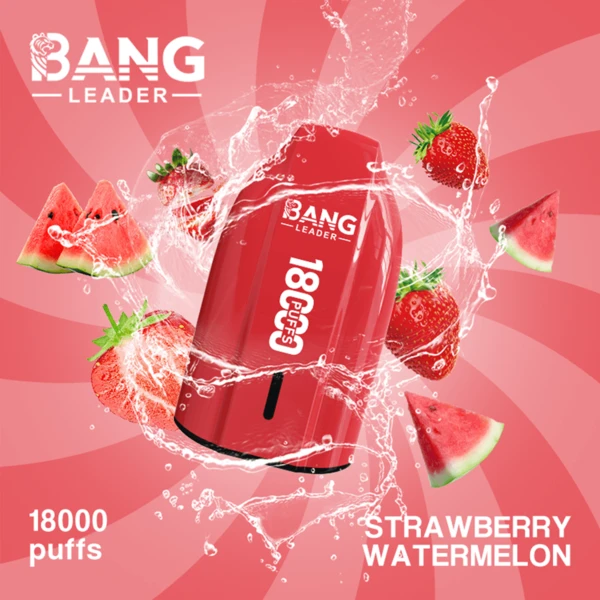Bang Leader 18K Disposable Vape | 18,000 Puffs – Powerful Mesh Coil Flavor - Image 12