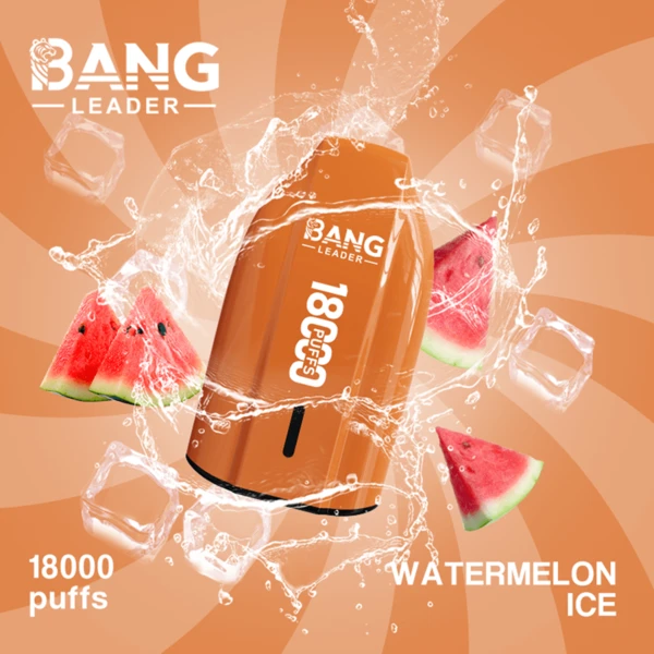 Bang Leader 18K Disposable Vape | 18,000 Puffs – Powerful Mesh Coil Flavor - Image 13