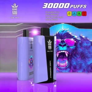 Bangking 30K Pro 30000 Puffs Disposable Vape – 36ml E-Liquid, 1.0Ω Mesh, 850mAh, Type-C Rechargeable